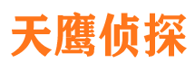 新城侦探公司